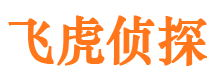 西昌市侦探调查公司